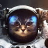 spectical space cat