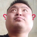 Stevezhao53