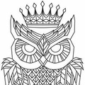 3rd Owl BC