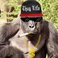 Harambestonks