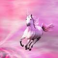 狂飙的粉红Unicorn