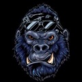 Kong Ape